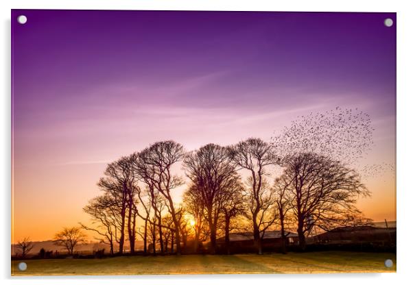 Starlings Acrylic by Gail Johnson