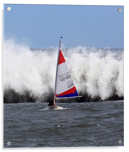 Sailing race Acrylic by Gail Johnson