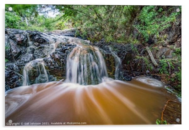 A stream making a small waterfall  Acrylic by Gail Johnson
