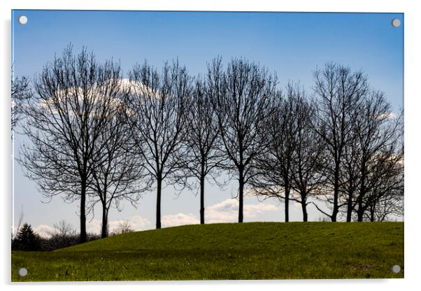 Trees atop a Hill Acrylic by Glen Allen