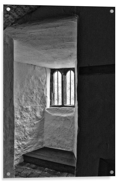 Views Through Medieval Windows 07 Skipton Castle Mono Acrylic by Glen Allen