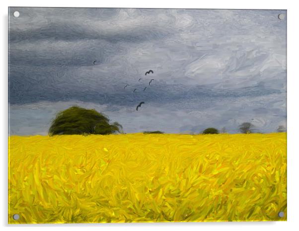 Rape Field Impressionist Acrylic by Glen Allen