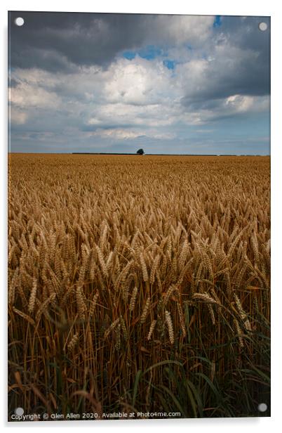 Wheat Fields Acrylic by Glen Allen