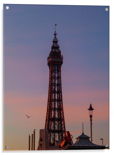 Blackpool Tower - Sunset Acrylic by Glen Allen