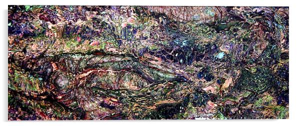 Douglas Fir Bark Acrylic by Stephen Maxwell