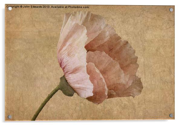 Parchment Acrylic by John Edwards