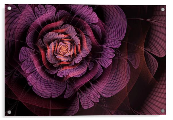 Fleur pourpre Acrylic by John Edwards