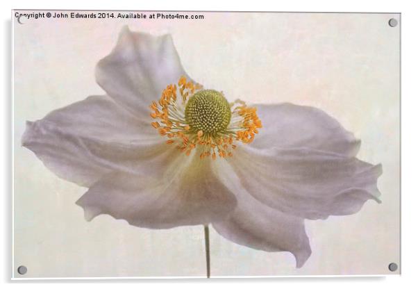 Thimbleweed Acrylic by John Edwards