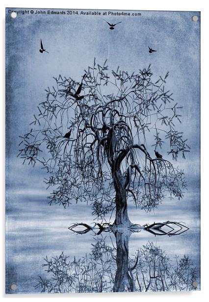 The Wishing Tree Cyanotype Acrylic by John Edwards