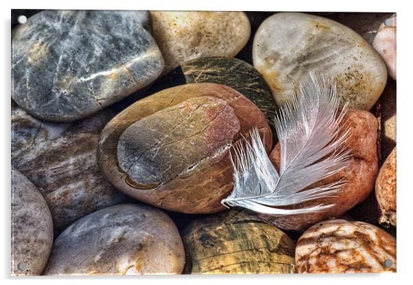Feather and Pebbles Acrylic by John Edwards