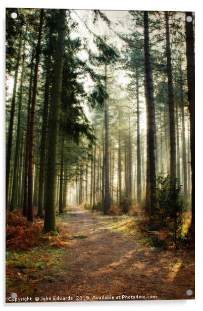A walk through the pines Acrylic by John Edwards