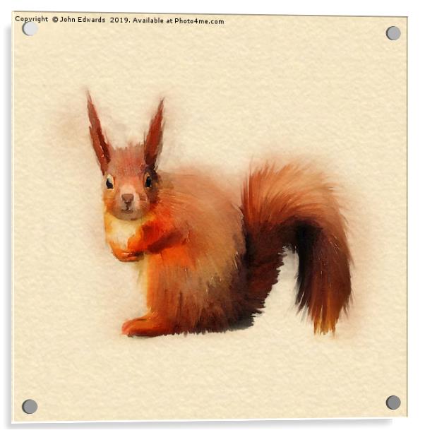 Red Squirrel (Sciurus vulgaris)   Acrylic by John Edwards