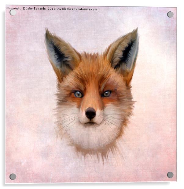 Red Fox (Vulpes vulpes) Acrylic by John Edwards
