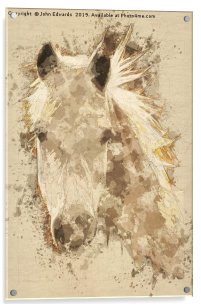 Pony  Acrylic by John Edwards