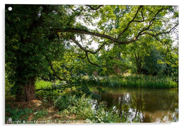 Tree Shaded Pool, Middleton, Warwickshire  Acrylic by John Edwards