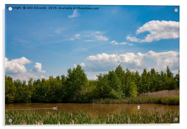 Swans on the Silt Pool, Middleton, Warwickshire  Acrylic by John Edwards