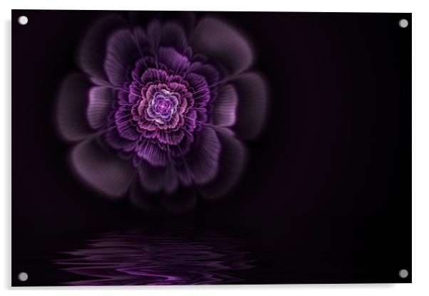 Fleur Acrylic by John Edwards