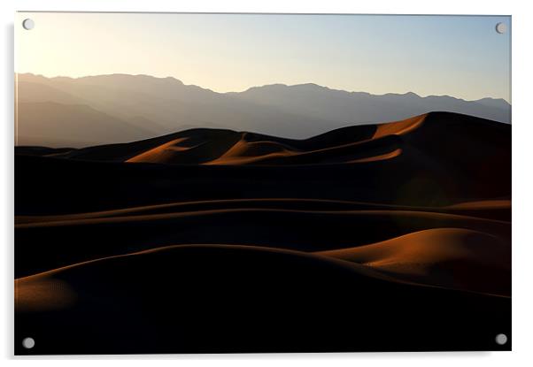 Mesquite Sand Dunes at Dusk Acrylic by Sharpimage NET