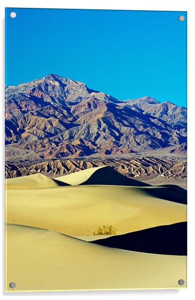 Mesquite Sand Dunes, Death Valley Acrylic by Sharpimage NET