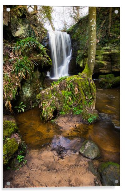 Roughing Linn Acrylic by David Irving