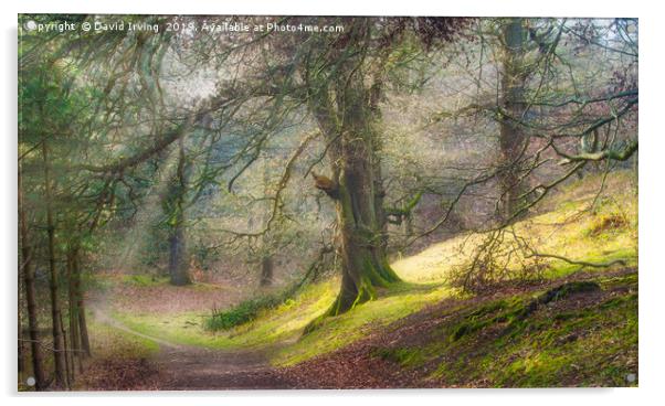 Spring woodland path Acrylic by David Irving