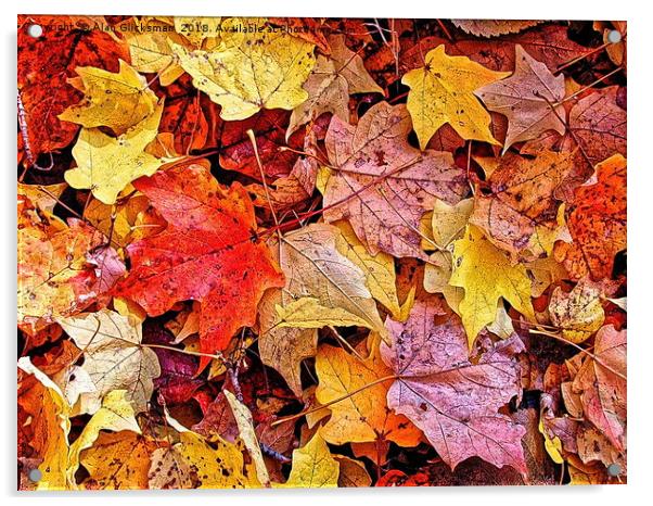 Autumn leaf color Acrylic by Alan Glicksman