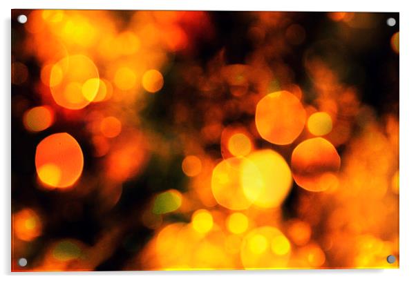Coloured Bokeh  Acrylic by Andrew David Photography 