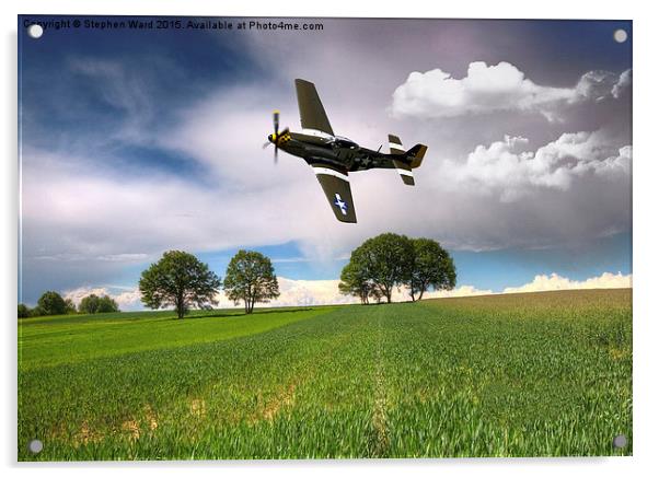  Buzzing the fields Acrylic by Stephen Ward