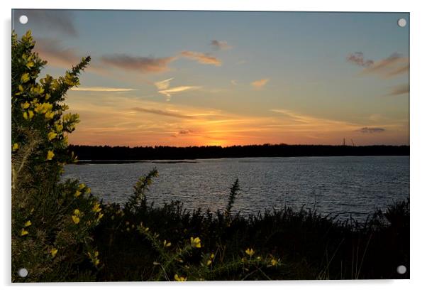 Lovely Dorset Lake Sunset Acrylic by pristine_ images