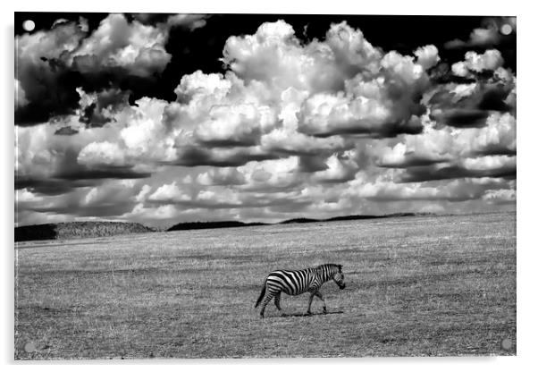 Serengeti sky Acrylic by Luigi Scuderi