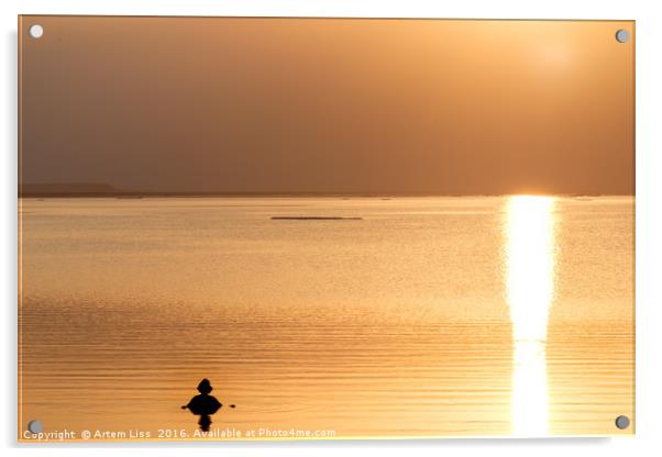 Bathing at Sunrise Acrylic by Artem Liss