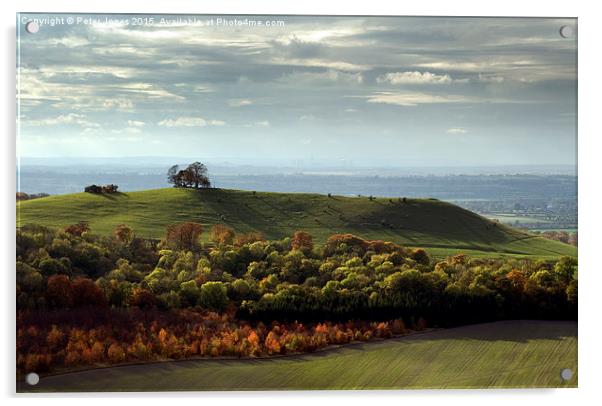 View from Coombe Hill towards Beacon hill Bucks. Acrylic by Peter Jones