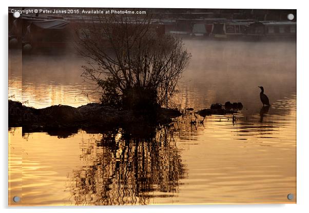 Cormorant silhouette early morning canal boatyard  Acrylic by Peter Jones