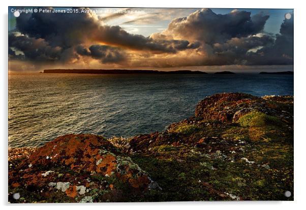  View of Skomer Island. Acrylic by Peter Jones