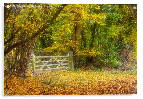 Early Autumn colours  Acrylic by Peter Jones