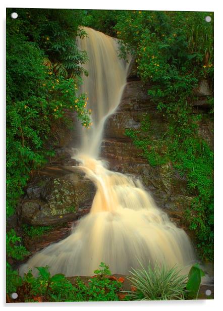   Sri Lanka Falls Acrylic by Karl Tullett