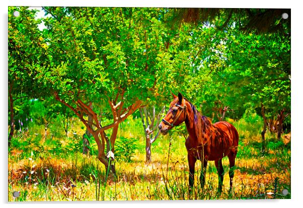 Digital painting of a chestnut horse out grazing i Acrylic by ken biggs