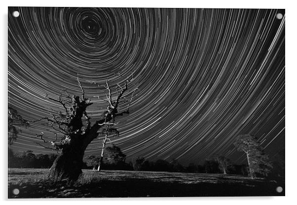 Northern Star Trails  Acrylic by Darren  Wynne