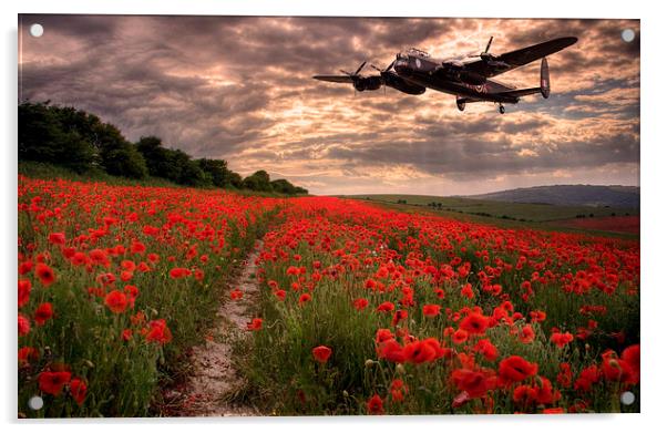  Lancaster bomber Vera, flying over poppy fields Acrylic by Andrew Scott