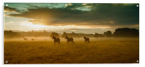 Wild Horses, West Common, Lincoln Acrylic by Andrew Scott