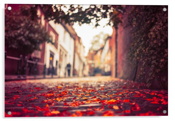 Autumn leaves, Steep Hill, Lincoln Acrylic by Andrew Scott