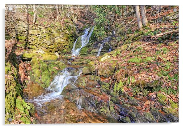 Creek Falls Acrylic by Paul Fell