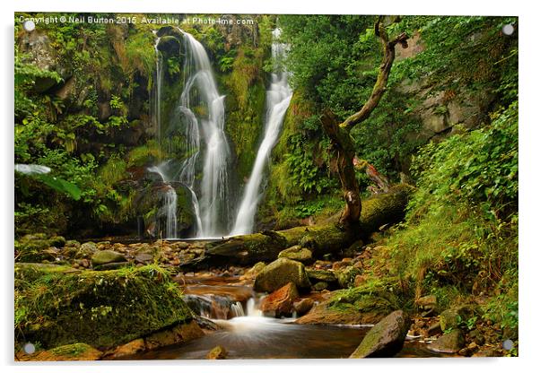 Dreamy waterfall Acrylic by Neil Burton
