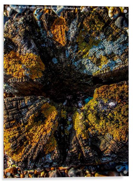  Lichen  Acrylic by Jon Barton
