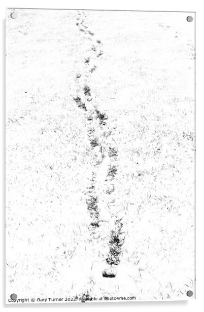 Footprints in snowy field Acrylic by Gary Turner