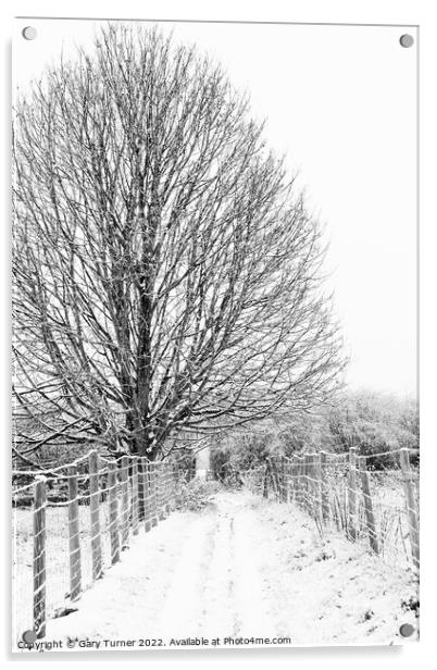 Snowy tree on snowy path Acrylic by Gary Turner