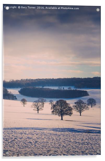 Winter Field and Trees - Colour Acrylic by Gary Turner