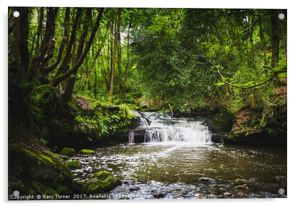 Goitstock Woods Falls Acrylic by Gary Turner