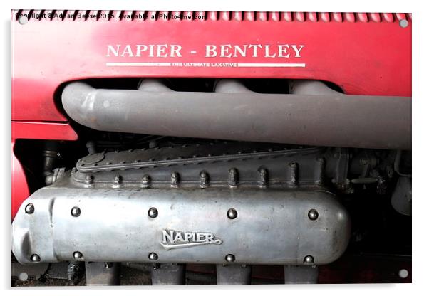  Napier-Bentley Acrylic by Adrian Beese