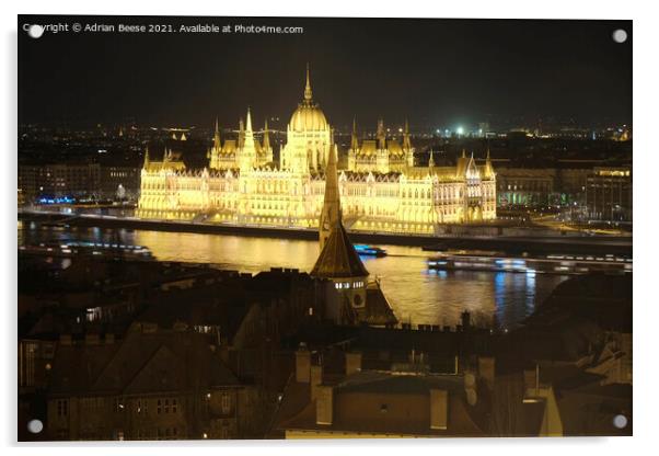 Hungarian Parliament lit up at night  Acrylic by Adrian Beese